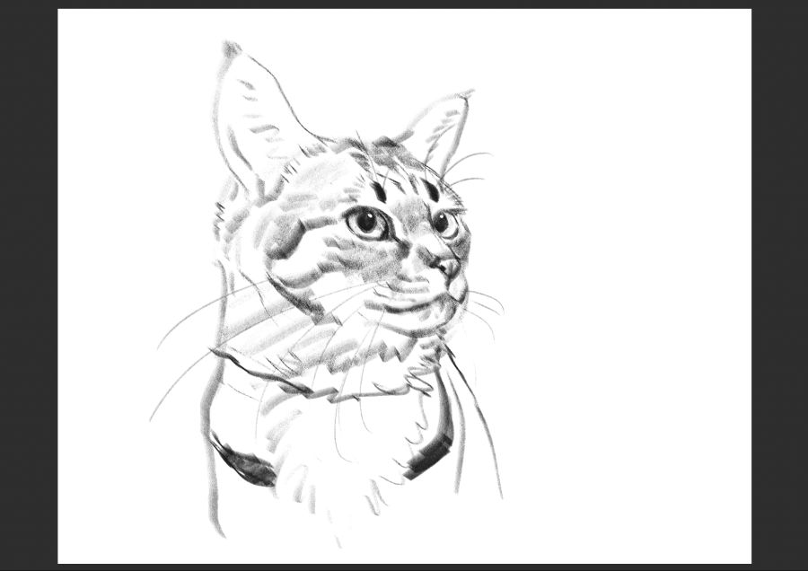 우리집 고양이 보고가셈_18.jpg