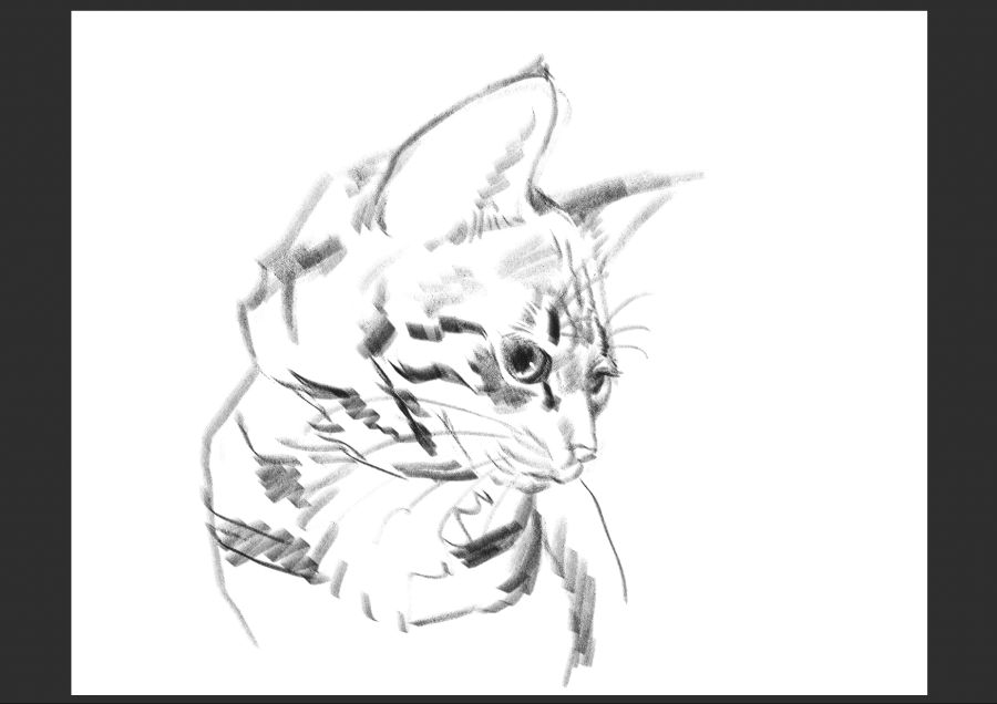 우리집 고양이 보고가셈_19.jpg