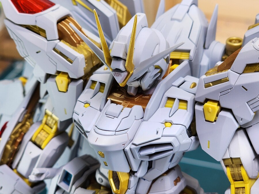 MGEX 스트라이크 프리덤 건담 완성_2.jpg