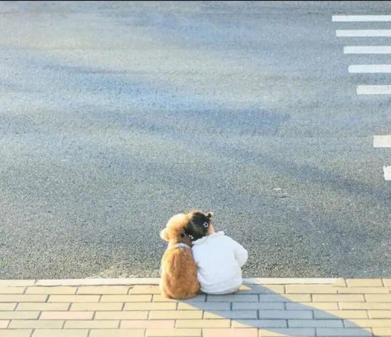 반려동물에 따라 달라지는 집안의 분위기_1.jpg