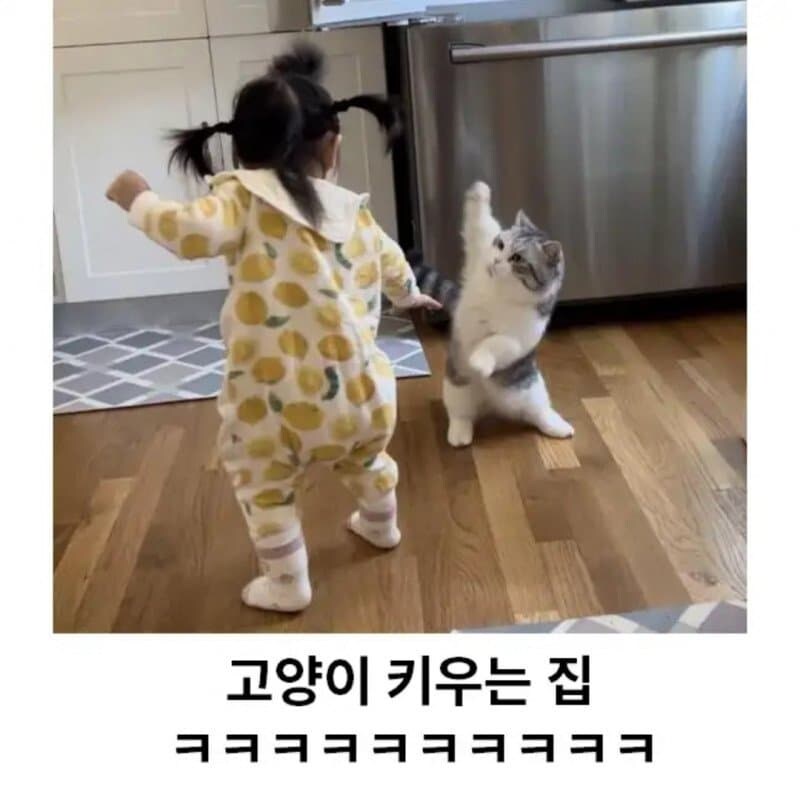 반려동물에 따라 달라지는 집안의 분위기_2.jpg