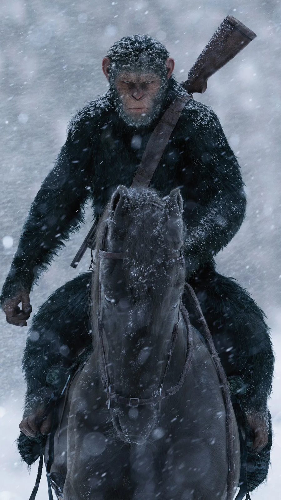 고양이 왕녀와 원숭이 아저씨 진엔딩.JPG_4.webp