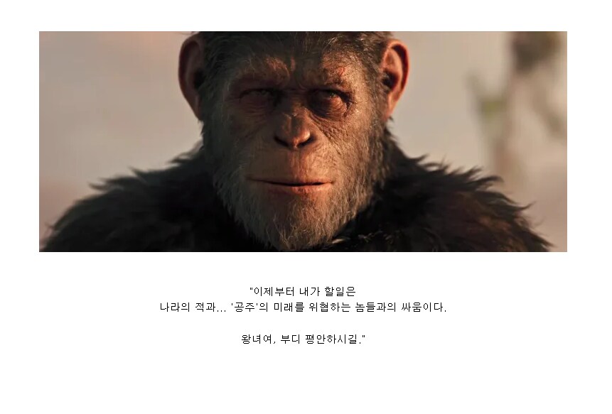 원숭이 아저씨의 대모험_113.png