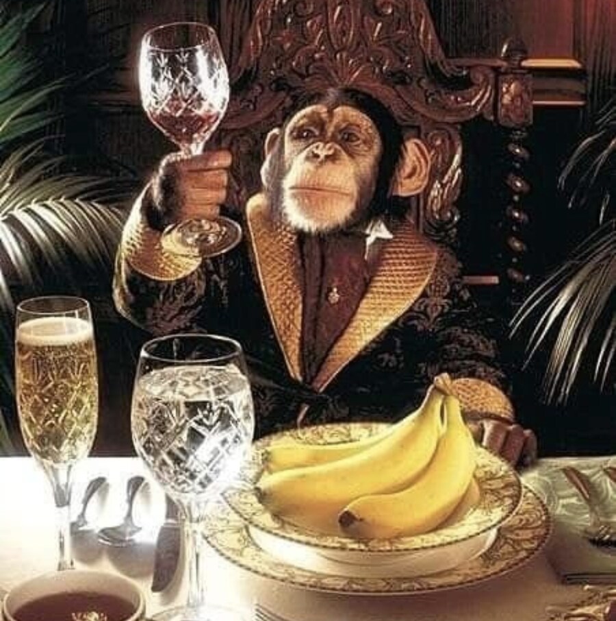 원숭이 아저씨의 대모험_36.jpg