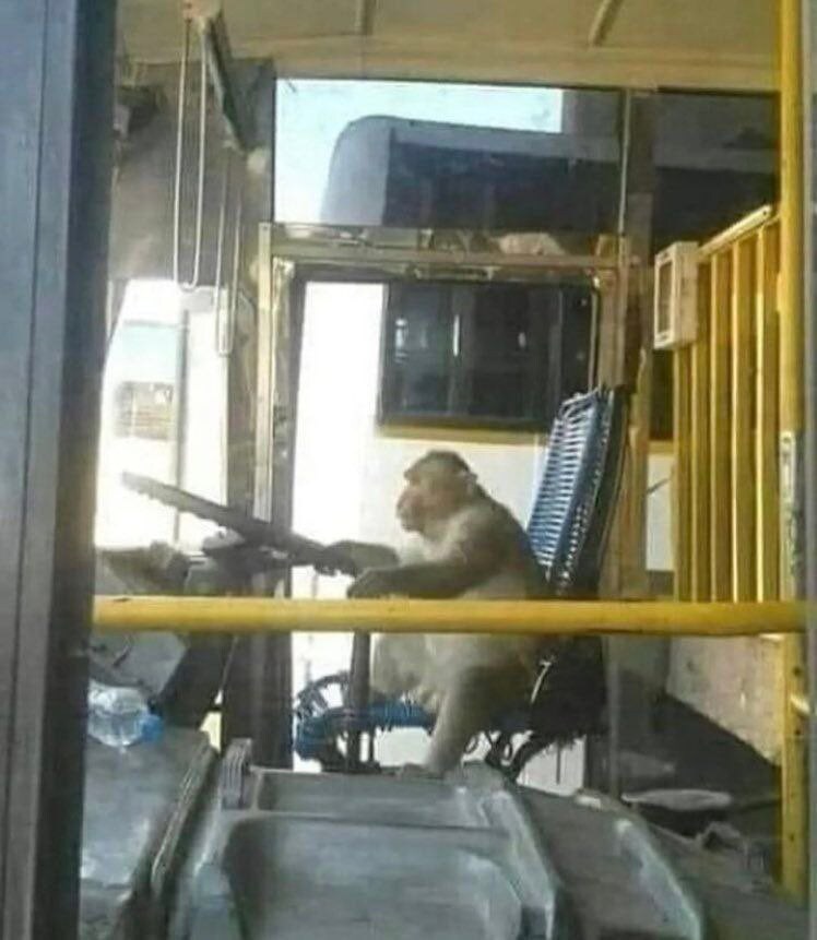 원숭이 아저씨의 대모험_40.jpg