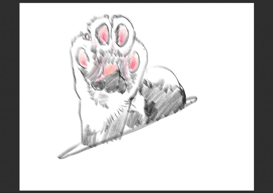우리집 고양이 보고가셈_6.jpg