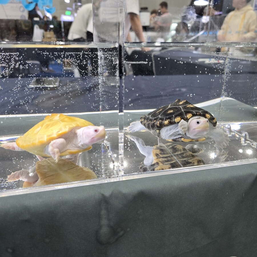 오늘 수원에서 하는 이색애완동물 박람회 다녀왔습니다._40.jpg