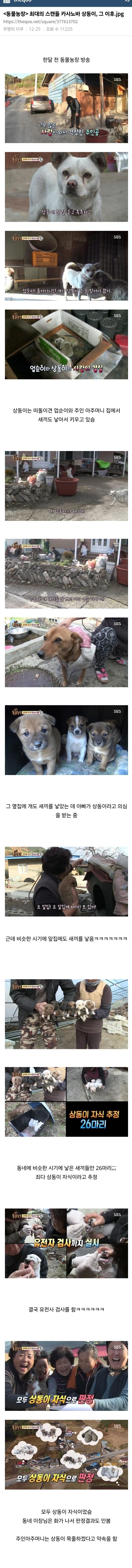 동물농장)최대 스캔들 카사노바 상동이, 그 이후.jpg_1.jpg