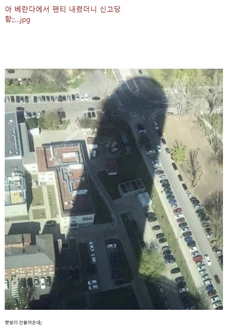 베란다에서 팬티 내렸다가 신고 당한 사람 .jpg_1.png