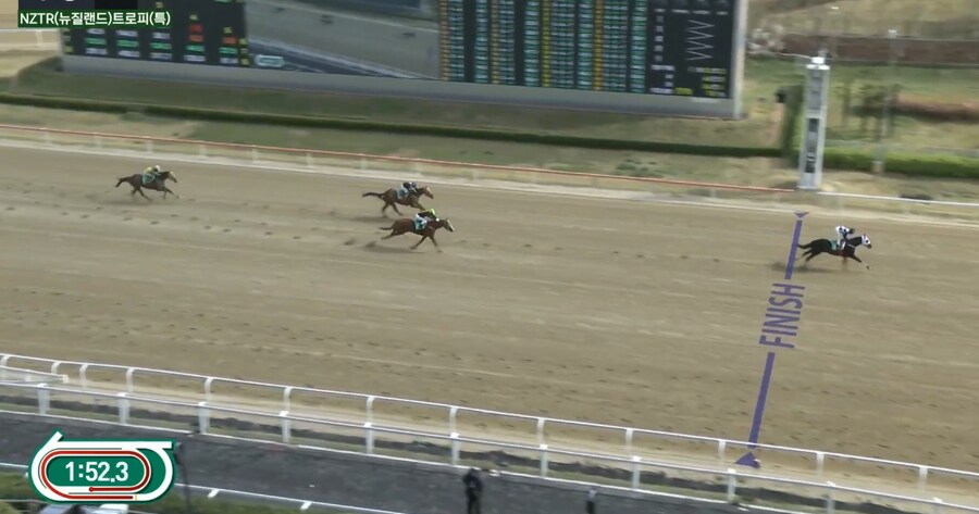 K- 경마, 말딸 혈통) 특별경주에 출전한 스마트 팔콘의 자마, 스마트보스의 성적_1.png