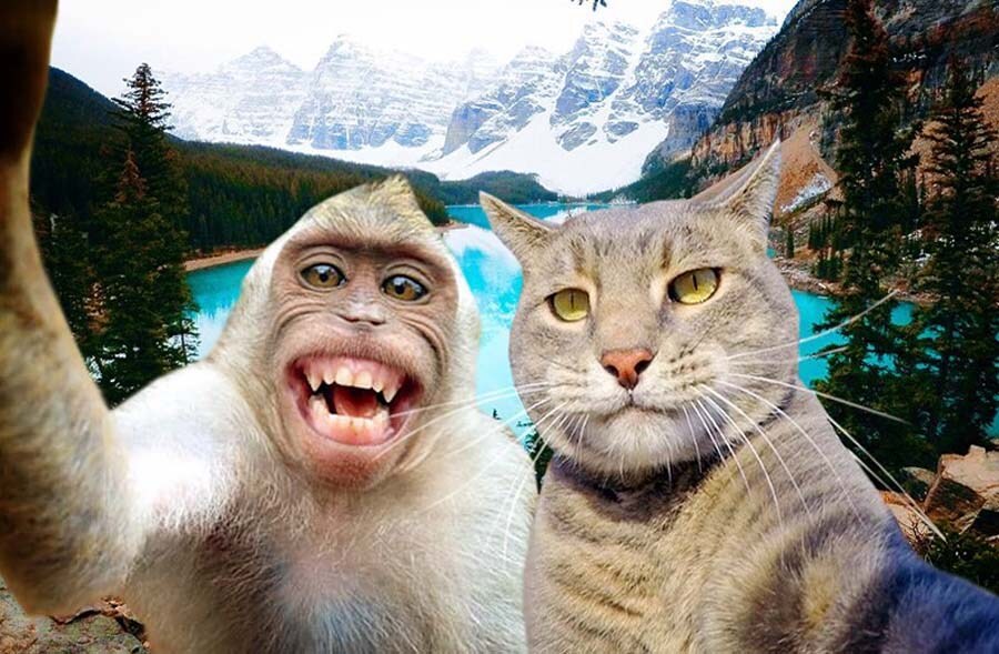 ???: 원숭이 아저씨와 고양이 공주 5편 촬영 수고하셨습니다~_1.jpg