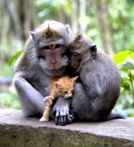 "아들아 보렴, 네가 섬길 주군이시란다."_1.jpg