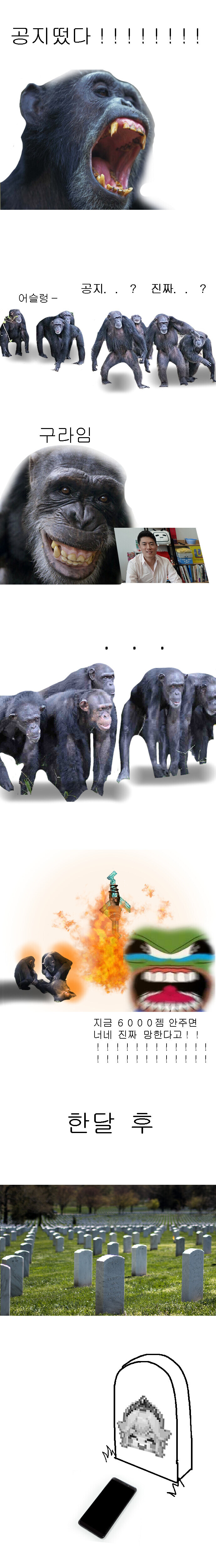 전설의 침팬지밈 원본 만화.manga_4.jpg