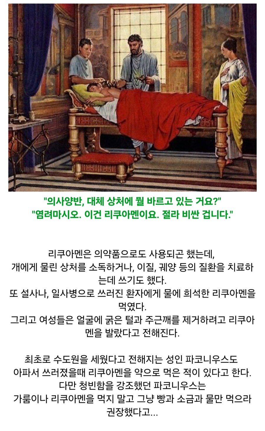 사라진 전설의 소스 리쿠아멘(Liquamen)_6.jpg