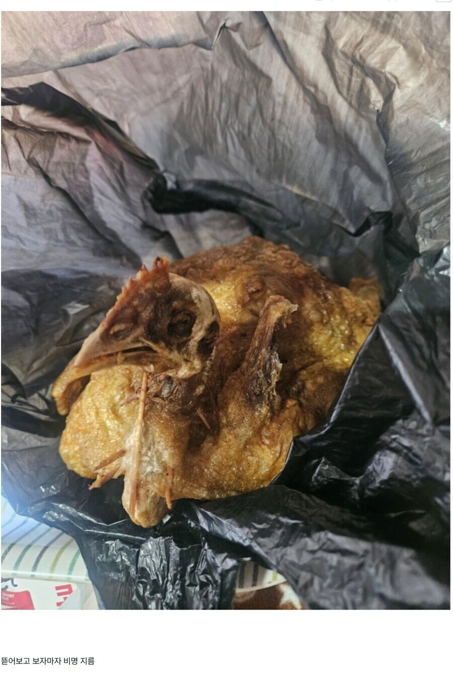 시장 통닭 대참사. jpg_1.jpg