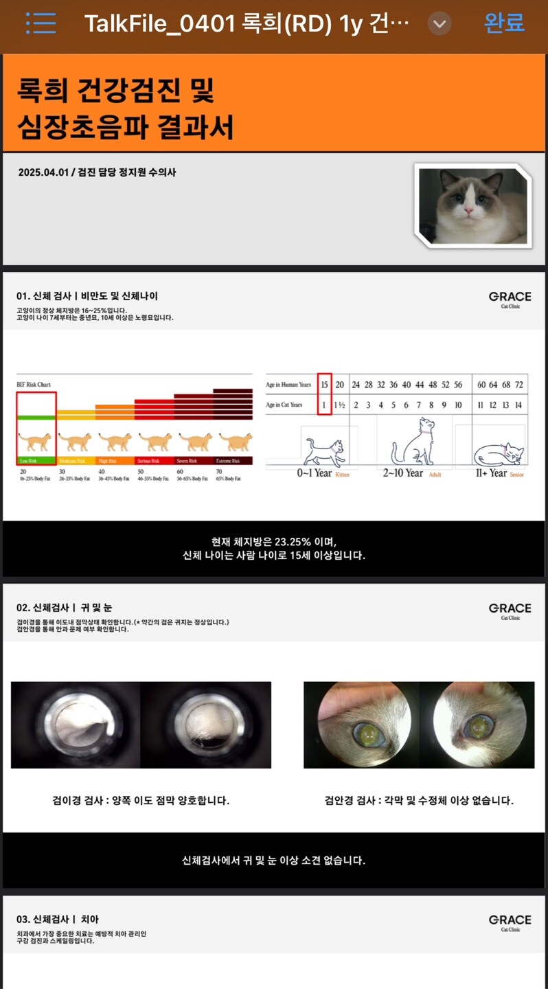 록희의 생일, 산책, 건강검진_2.jpg