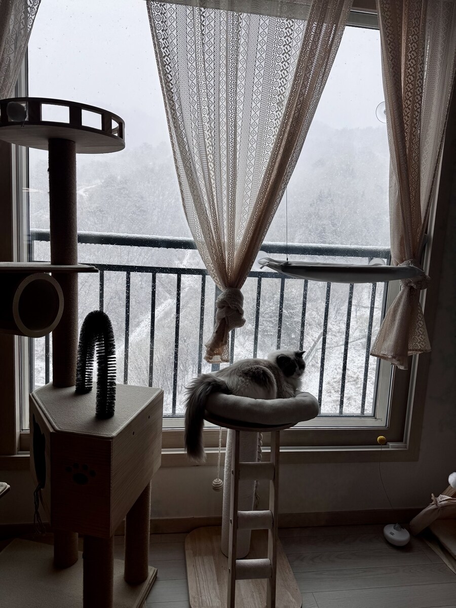 록희의 생일, 산책, 건강검진_3.jpg