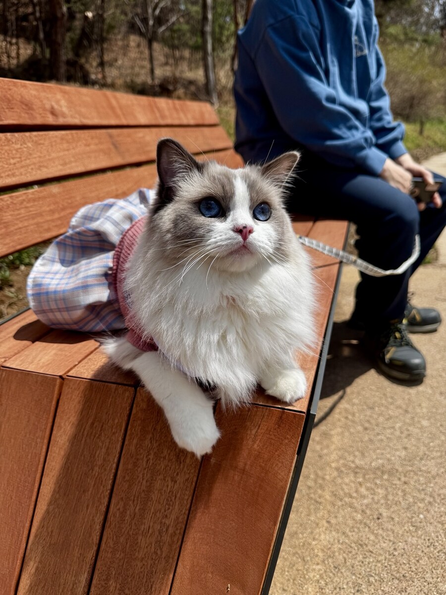 록희의 생일, 산책, 건강검진_6.jpg