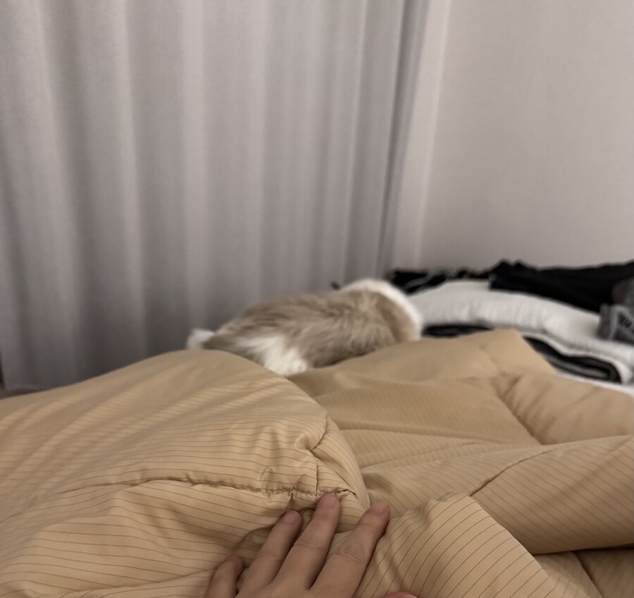 록희의 생일, 산책, 건강검진_10.jpg