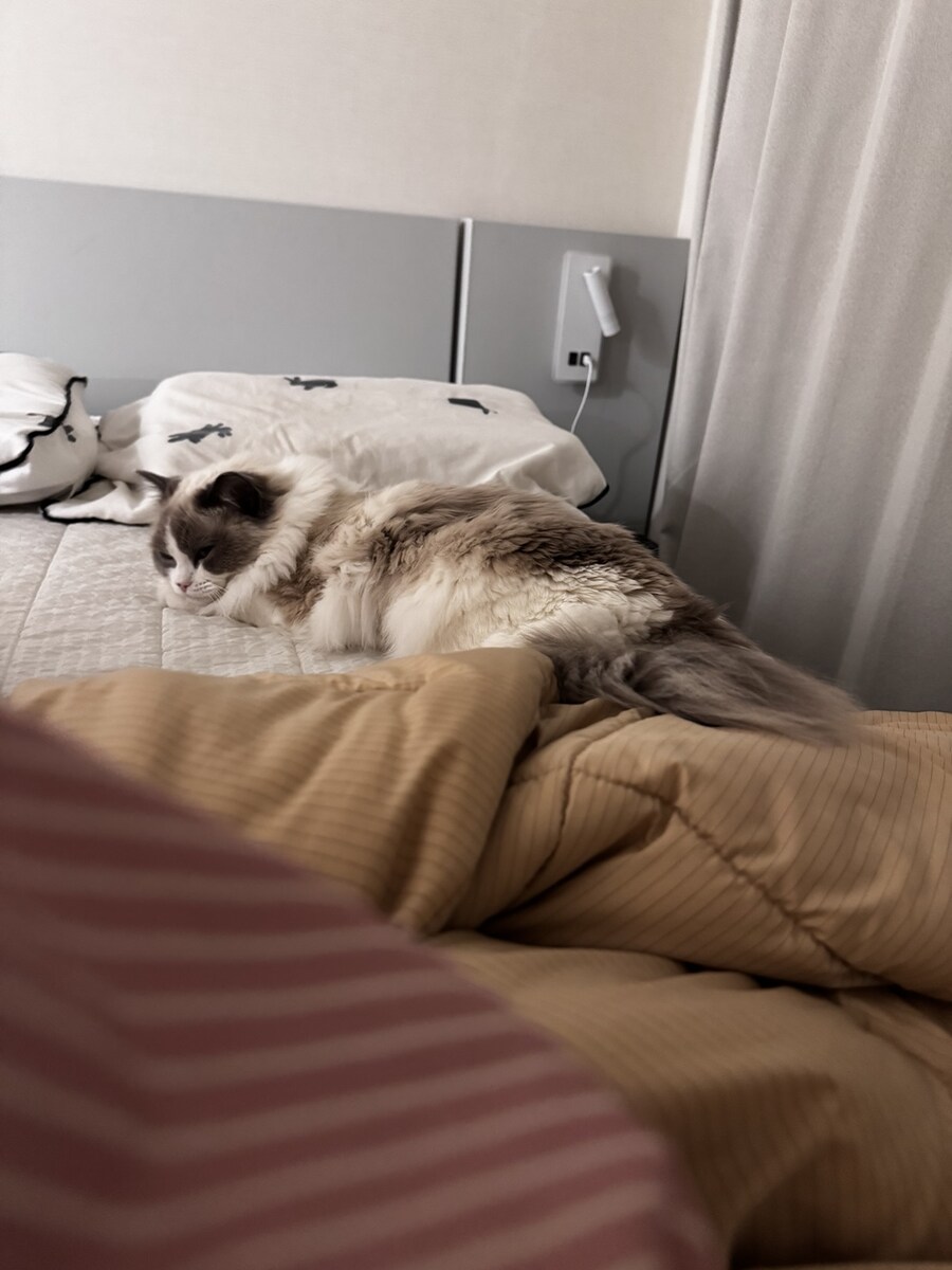 록희의 생일, 산책, 건강검진_12.jpg