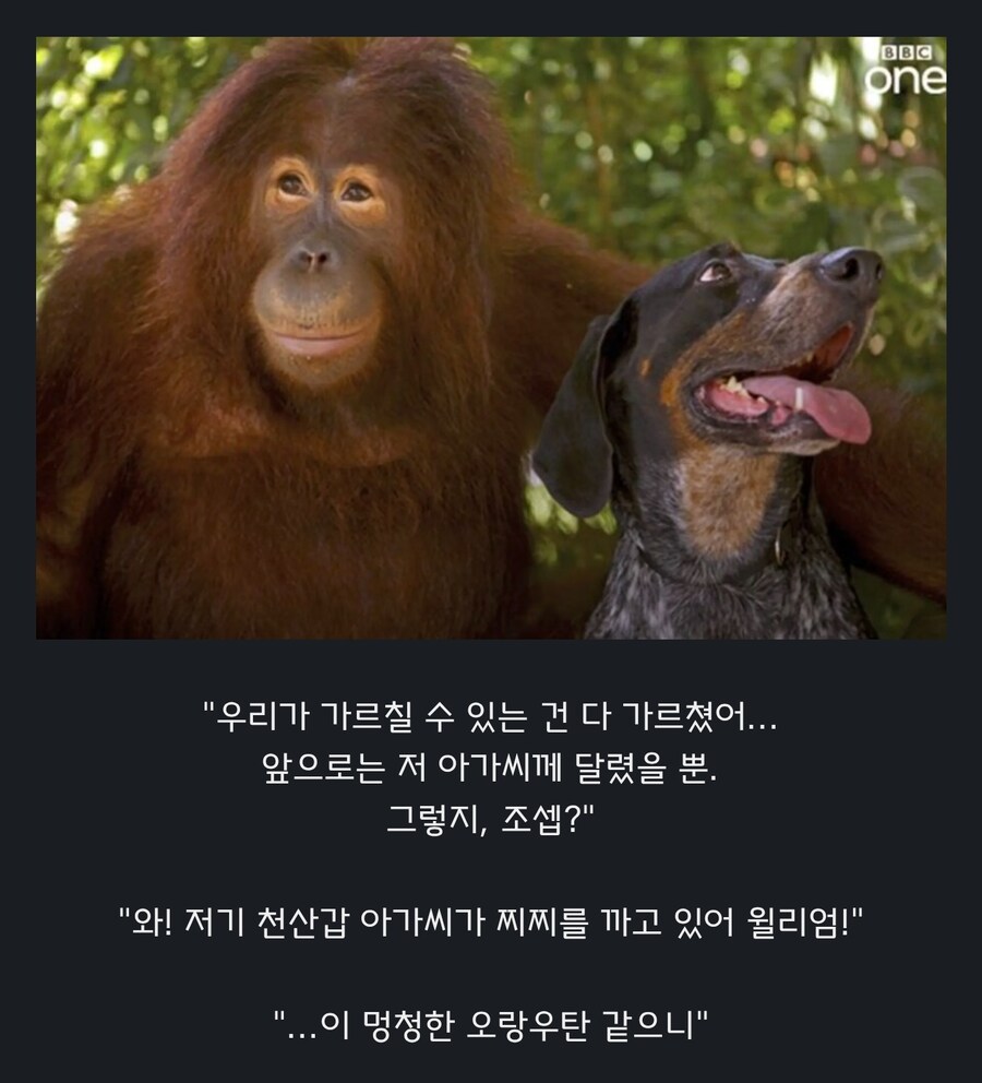 원숭이 아저씨의 대모험_57.jpg
