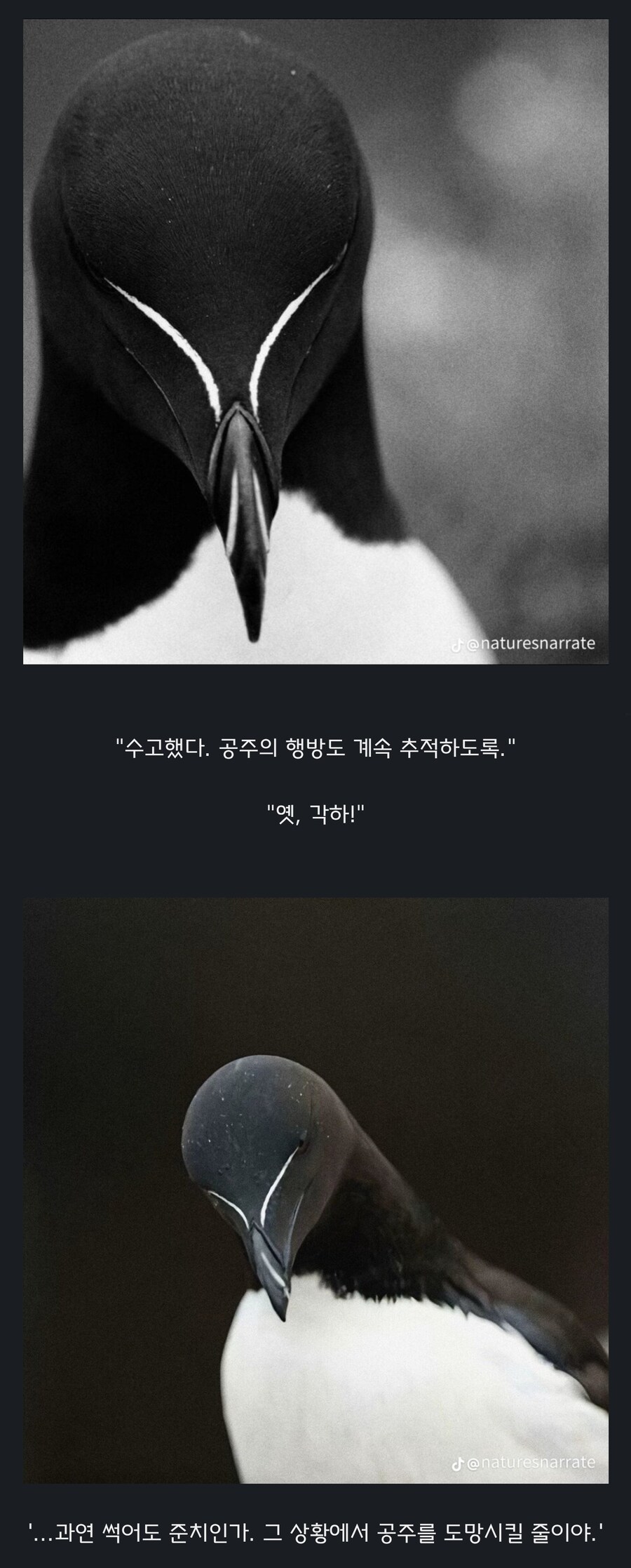 원숭이 아저씨의 대모험_58.jpg