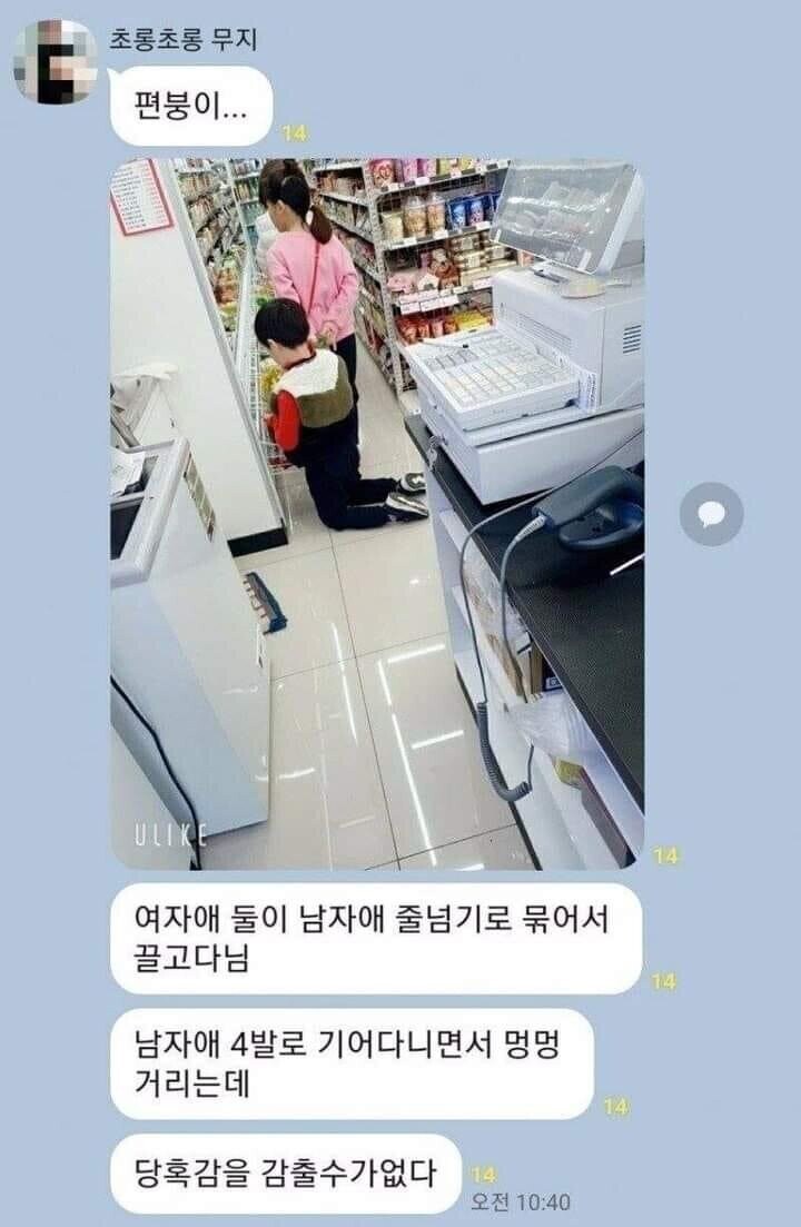목줄하고 돌아다니는걸 좋아하는 아이_1.jpg