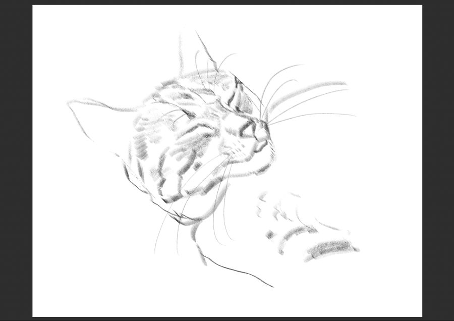 우리집 고등어고양이 보고가셈_1.jpg