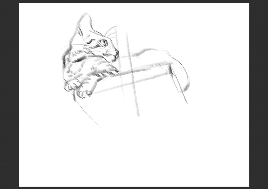 우리집 고등어고양이 보고가셈_8.jpg