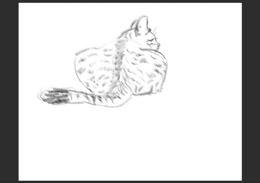 우리집 고등어고양이 보고가셈_10.jpg