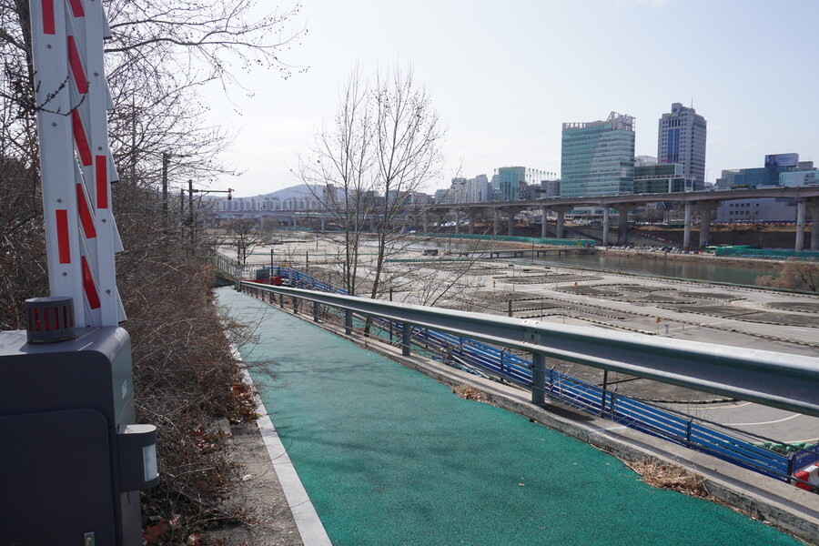 3월달, 선정릉과 탄천 탐조_21.jpg