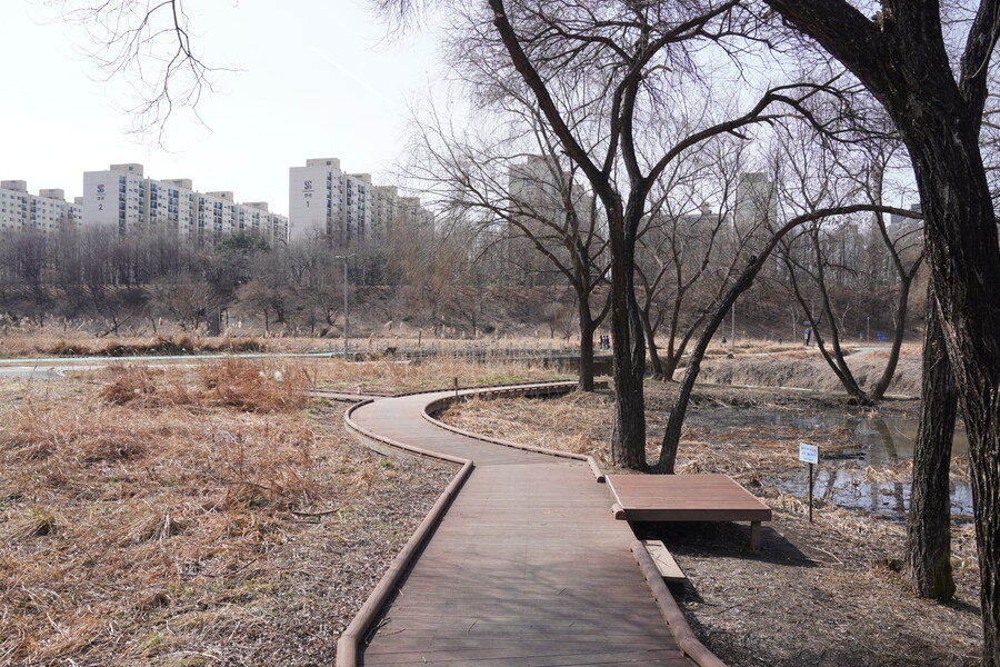 3월달, 선정릉과 탄천 탐조_24.jpg