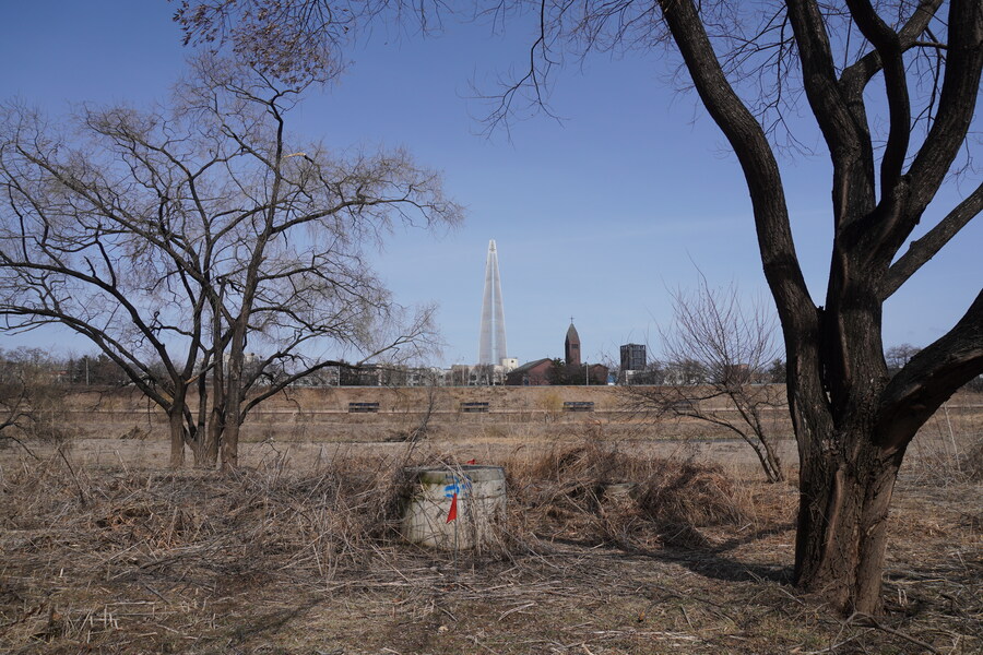 3월달, 선정릉과 탄천 탐조_25.jpg