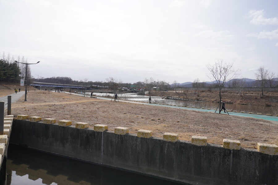 3월달, 선정릉과 탄천 탐조_36.jpg