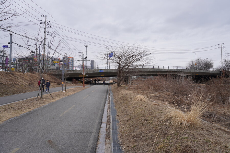 3월달, 선정릉과 탄천 탐조_45.jpg