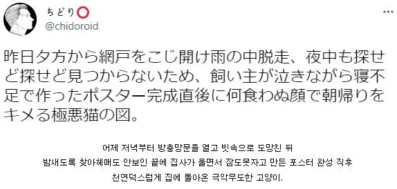 가출한 고양이를 찾을려고 울면서 만든 포스터.png_1.png
