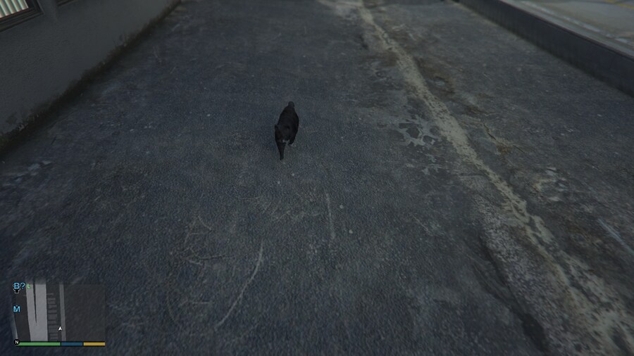 Gta 5 늑대에서 양옹이로_3.png