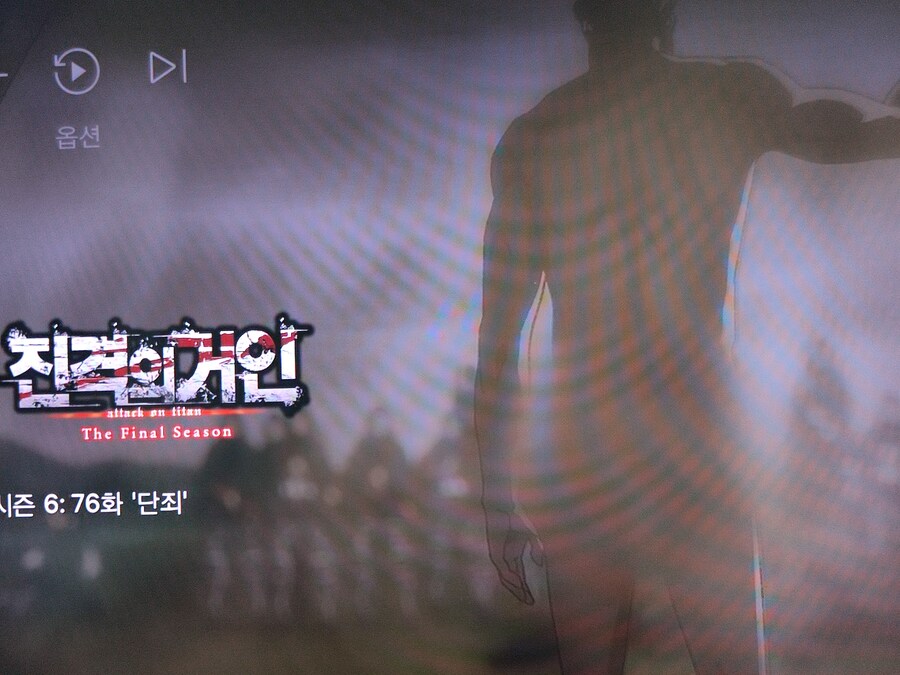 넷플릭스 진격의 거인 검열 기준이 뭐임??_1.jpg