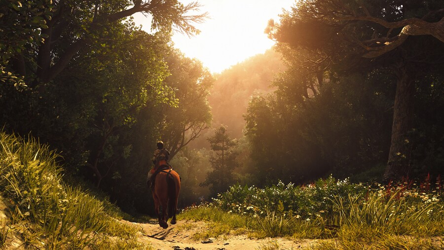 Assassin's Creed® Shadows_2.jpg