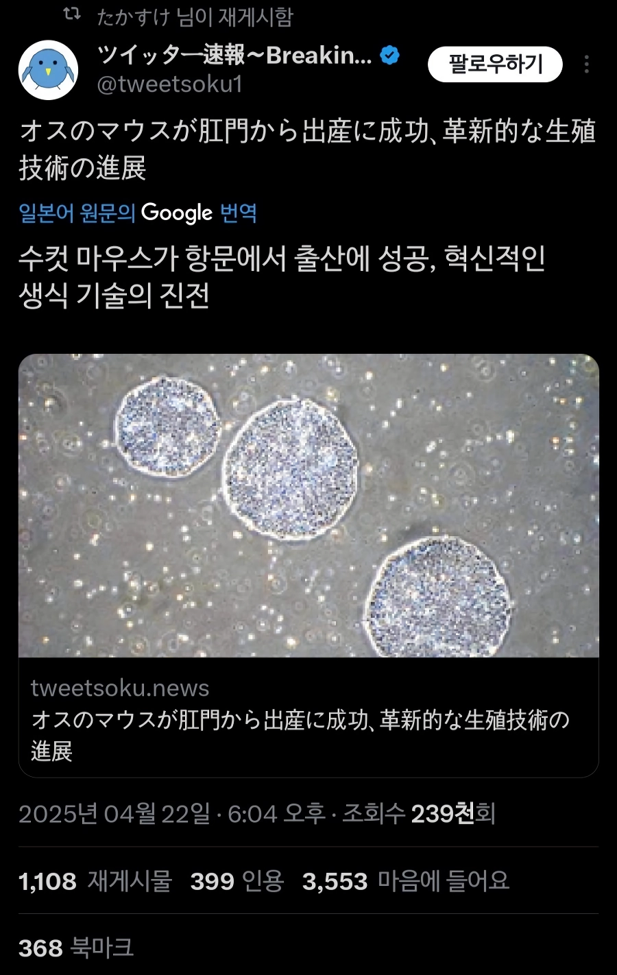 암컷 타락한 수컷의 출산이 가능해진 시대_1.webp