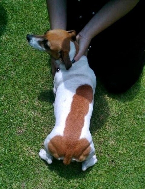 존나 개상남자_1.jpg