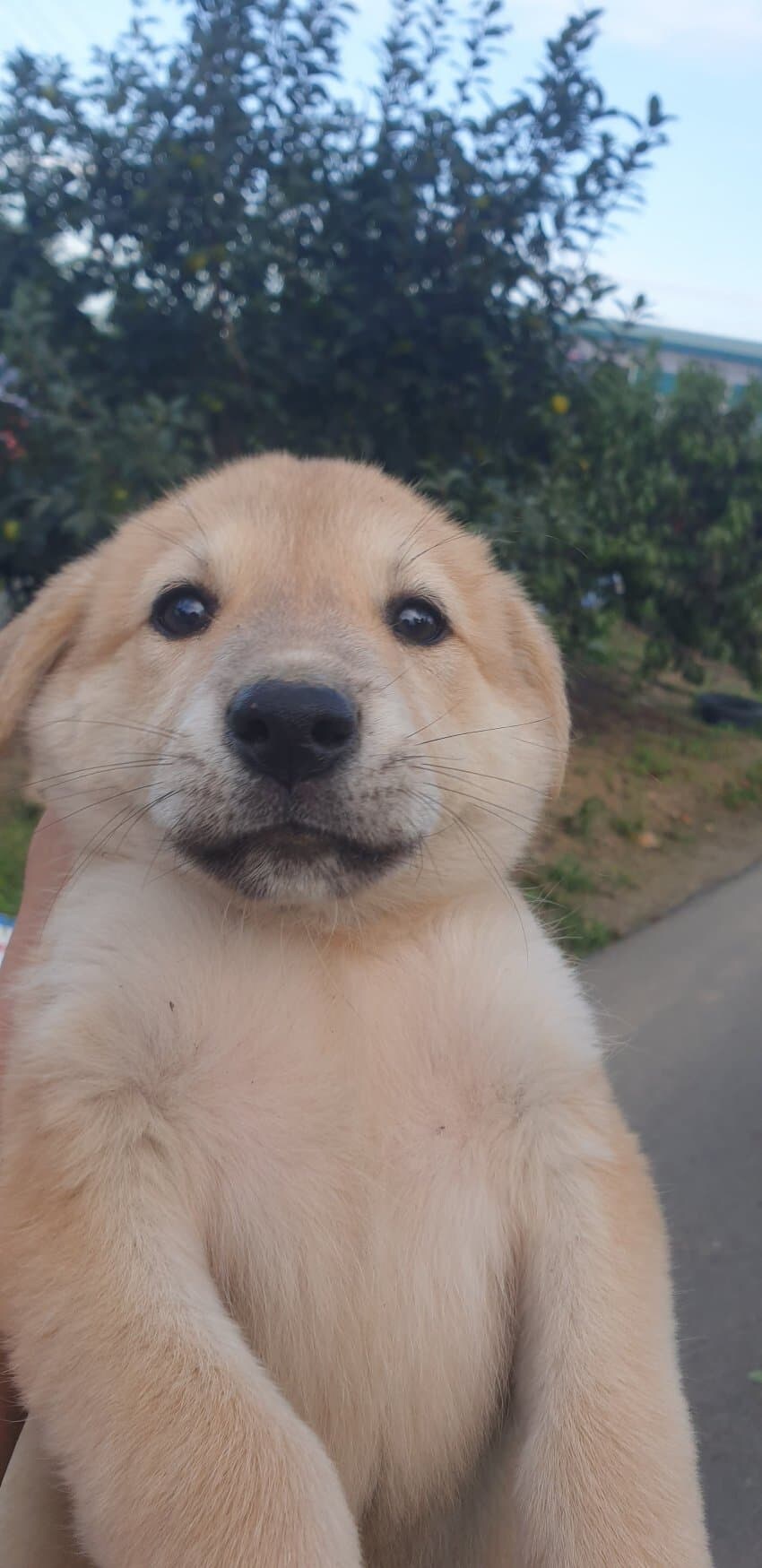 작성자 특_1.jpg