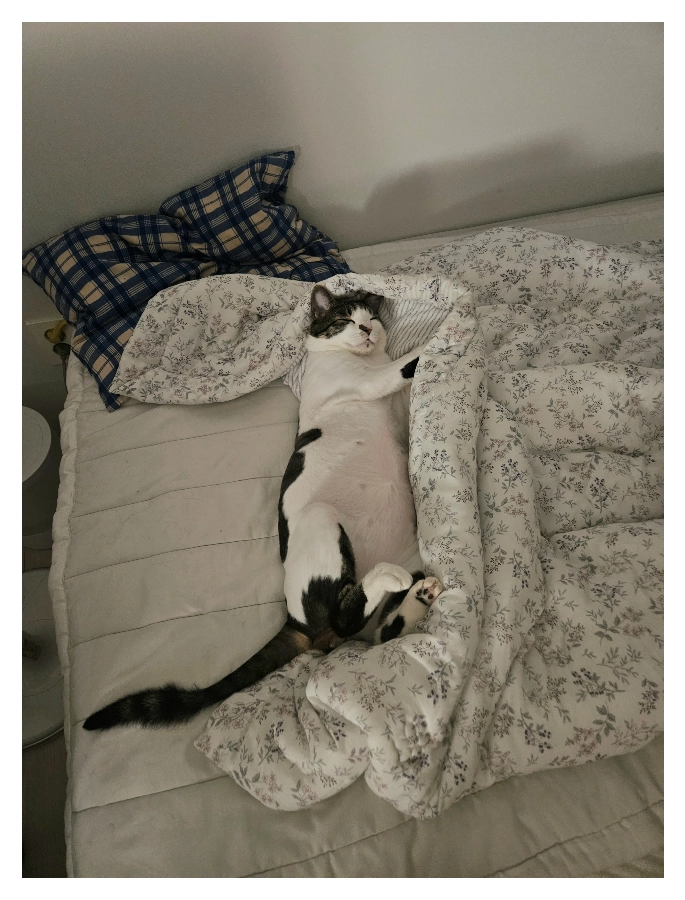 자다깨서 멍때리다 뒹굴뒹굴_1.webp