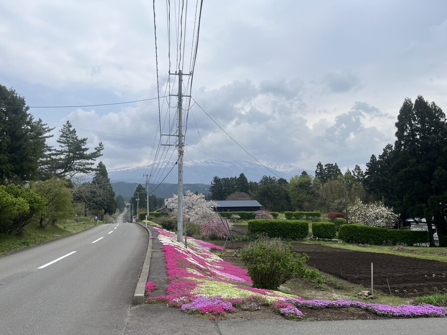 여행) 방금올라갔던 동내 뒷산_2.jpg