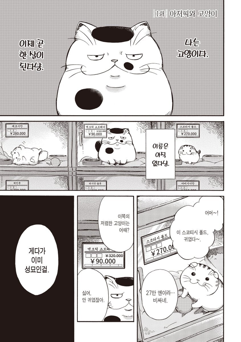 못생긴 고양이가 팔리는 만화_1.jpg