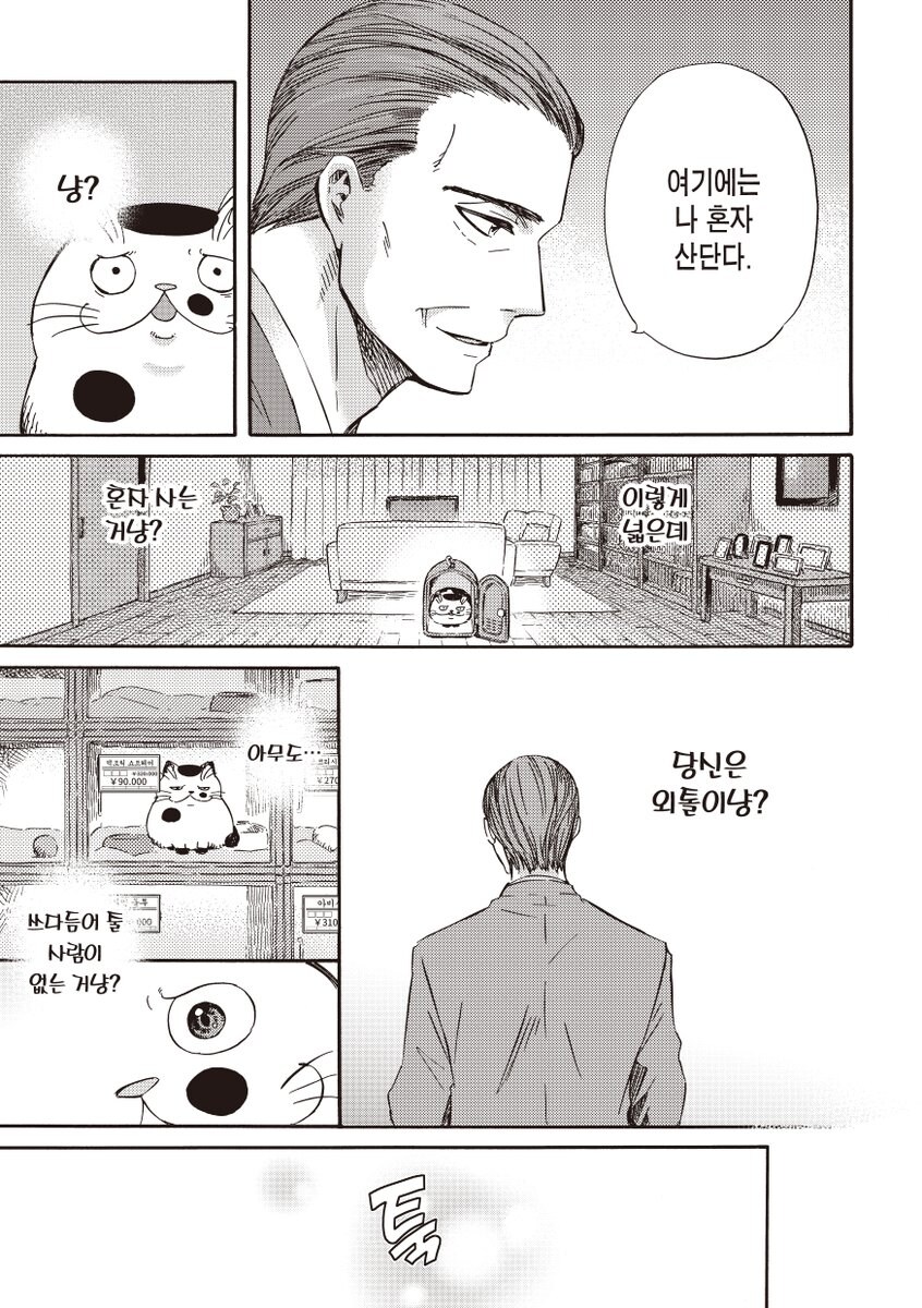 못생긴 고양이가 팔리는 만화_7.jpg