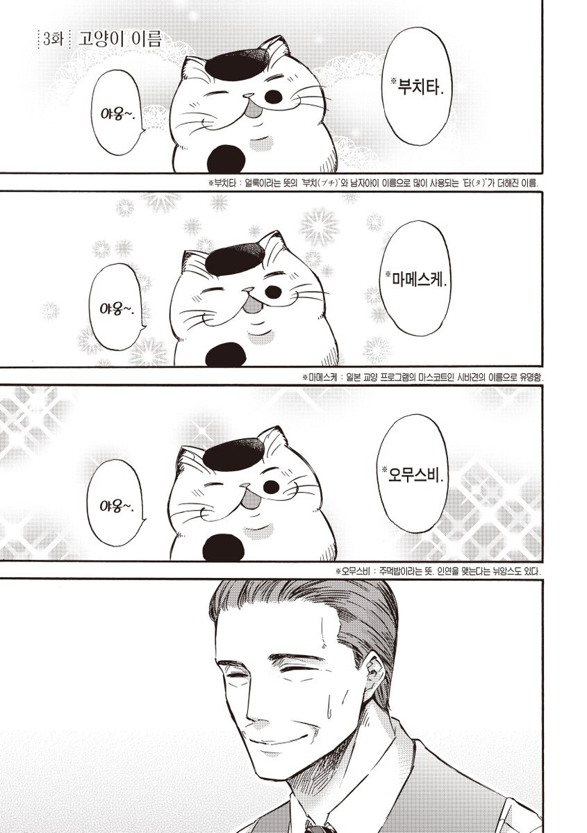 못생긴 고양이가 팔리는 만화_9.jpg