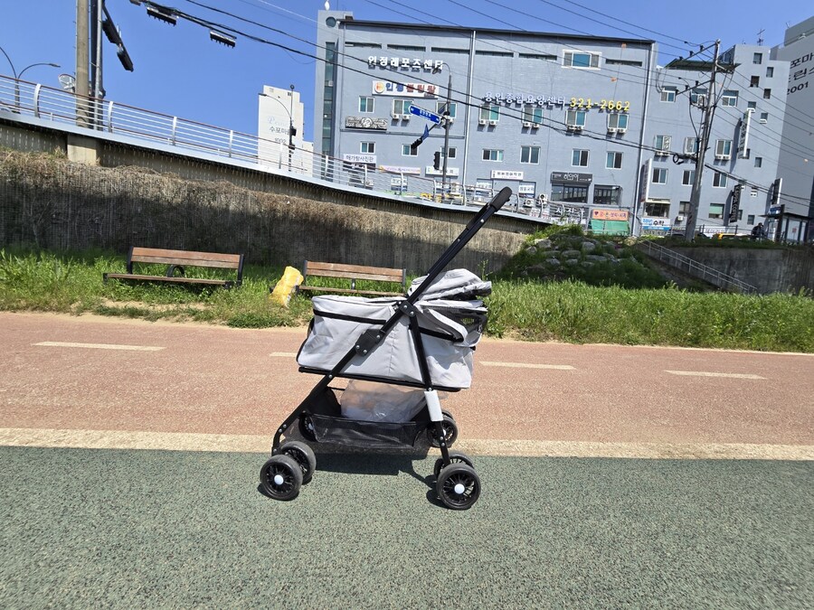 거북이 전용 유모차_3.jpg