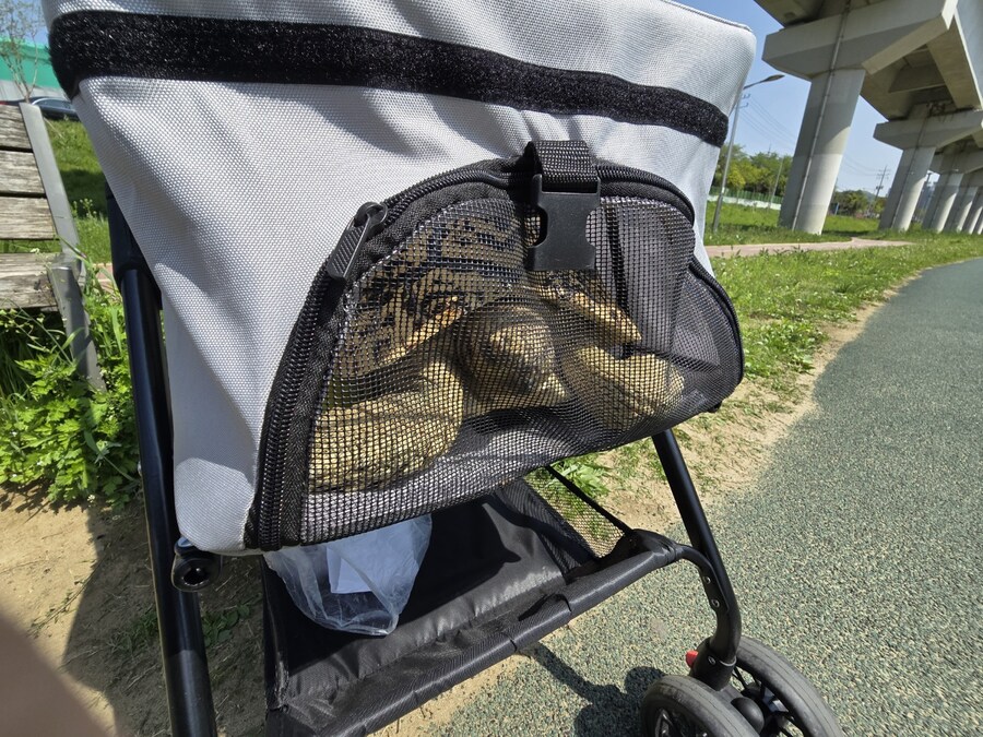 거북이 전용 유모차_7.jpg