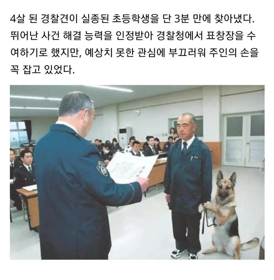 4살 경찰견이 실종 아동 찾아줬더니_1.jpg